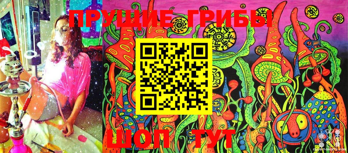 Ивантеевка  Псилоцибиновые грибы Psilocybine cubensis  Вход с VPN 